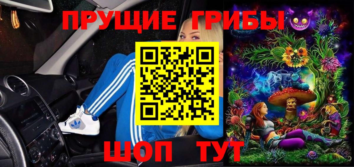 Галлюциногенные грибы Cubensis Пятигорск