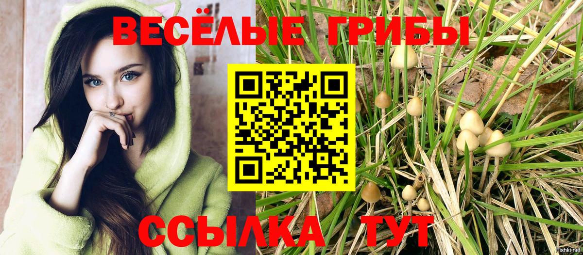 Пятигорск  Псилоцибиновые грибы MAGIC MUSHROOMS  Галлюциногенные грибы ЛСД  Вход с VPN 
